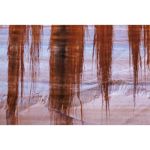 UT, Glen Canyon Sandstone with varnish stains